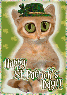 a big eyed st patricks cat 
